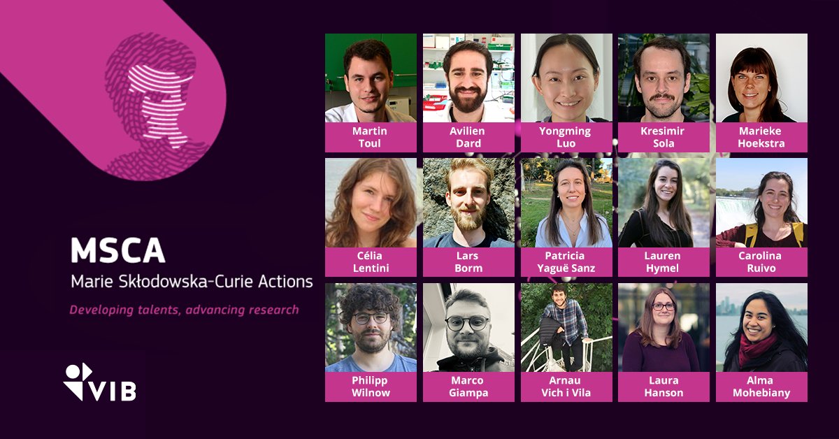 🎉 We’re very happy to welcome 15 new @MSCActions fellows! Joining 7 different research centers, they will each advance their professional pursuits and contribute to their respective research areas. ▶️ Read more here: vibbio.tech/3SIML77