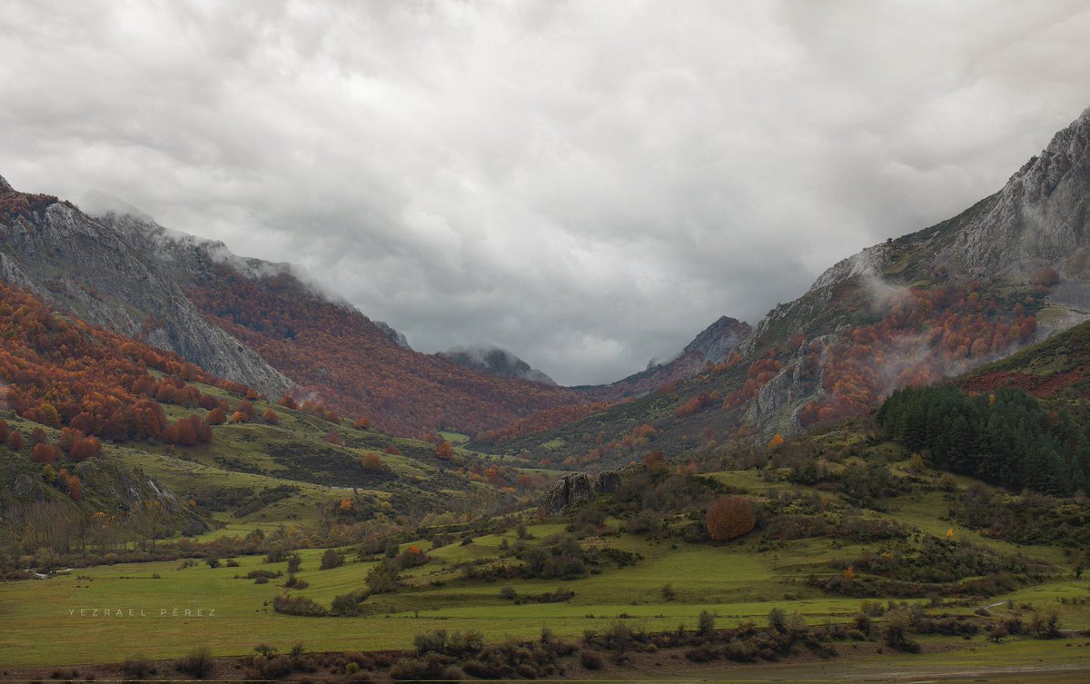 Noemí Carro tweet media