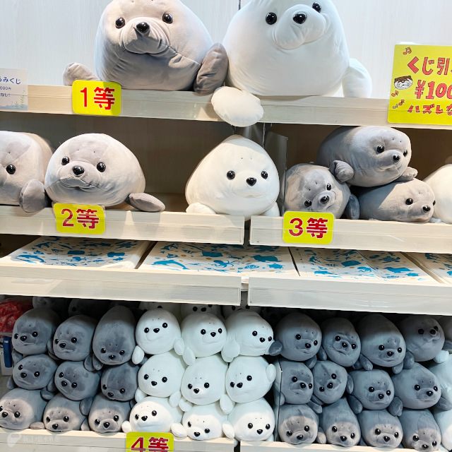 新江ノ島水族館 on X: 新江ノ島水族館 on X: