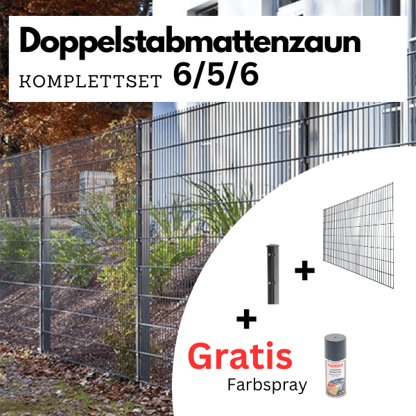 Zaun-Paradies (@ZaunParadies) / Posts / X