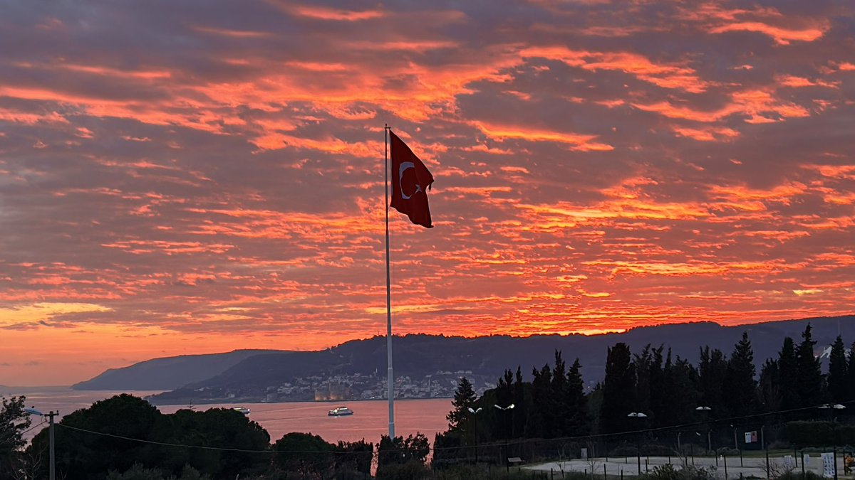 Traderadioo tweet media