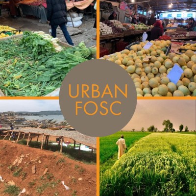 foscera's tweet photo. 🌍This week, update for @UrbanFOSC ! Project reminder: the Urban Food Resilience under #ClimateChange Challenges (UrbanFOSC) project leverages partners in Europe &amp; Africa to build models to predict climate scenarios impacting local &amp; international food value chains. #food2030eu https://t.co/qtN9zlqOFu