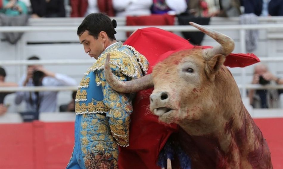 Fundación Toro Lidia tweet media