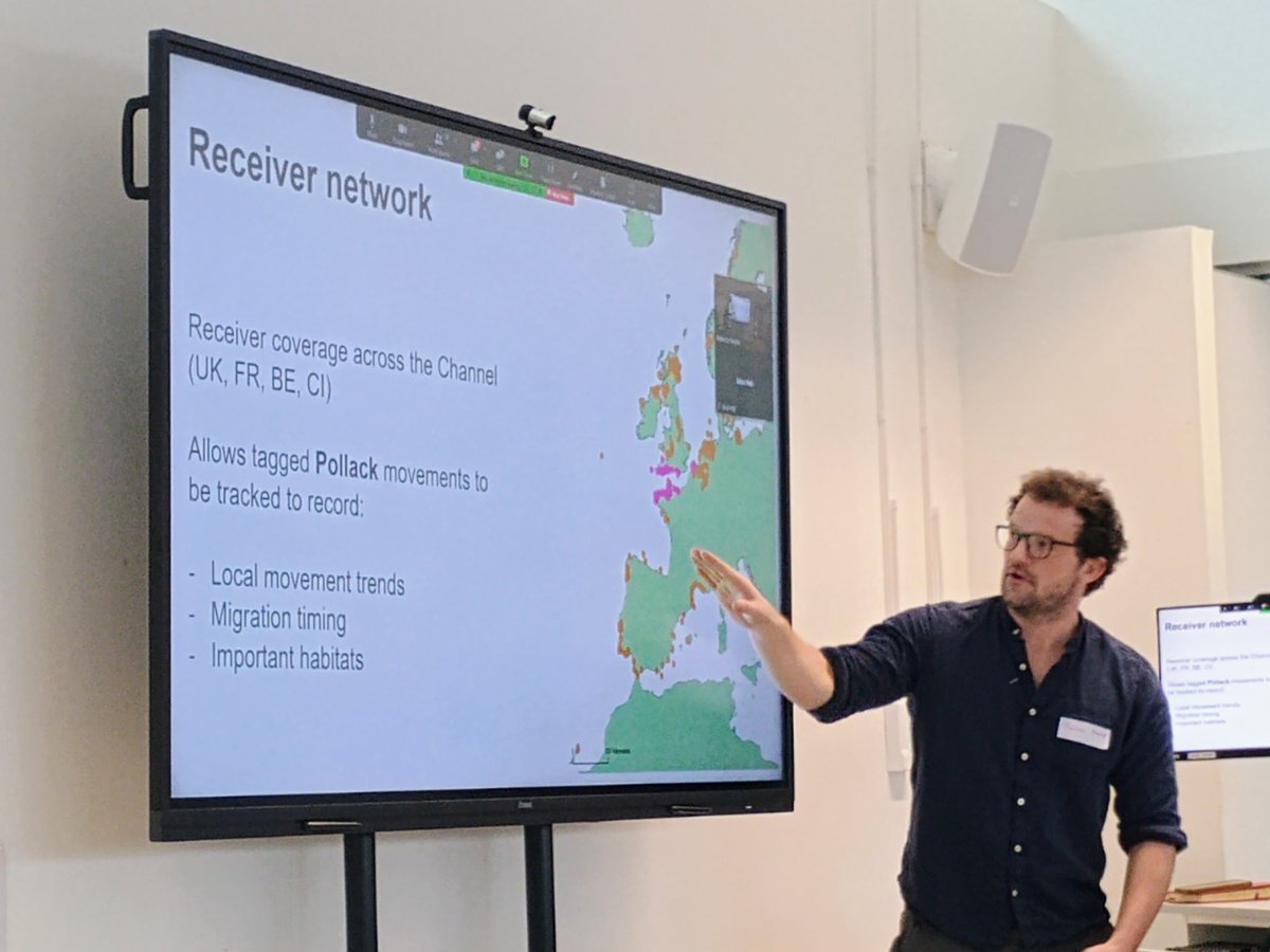 Excellent turn out on Wednesday for our Pollack #FISP project workshop @PlymUni We brought the fishing community, scientists, managers & NGOs together to discuss the challenges facing this species and how our research hopes to address the data gaps. Thank you to all who attended.