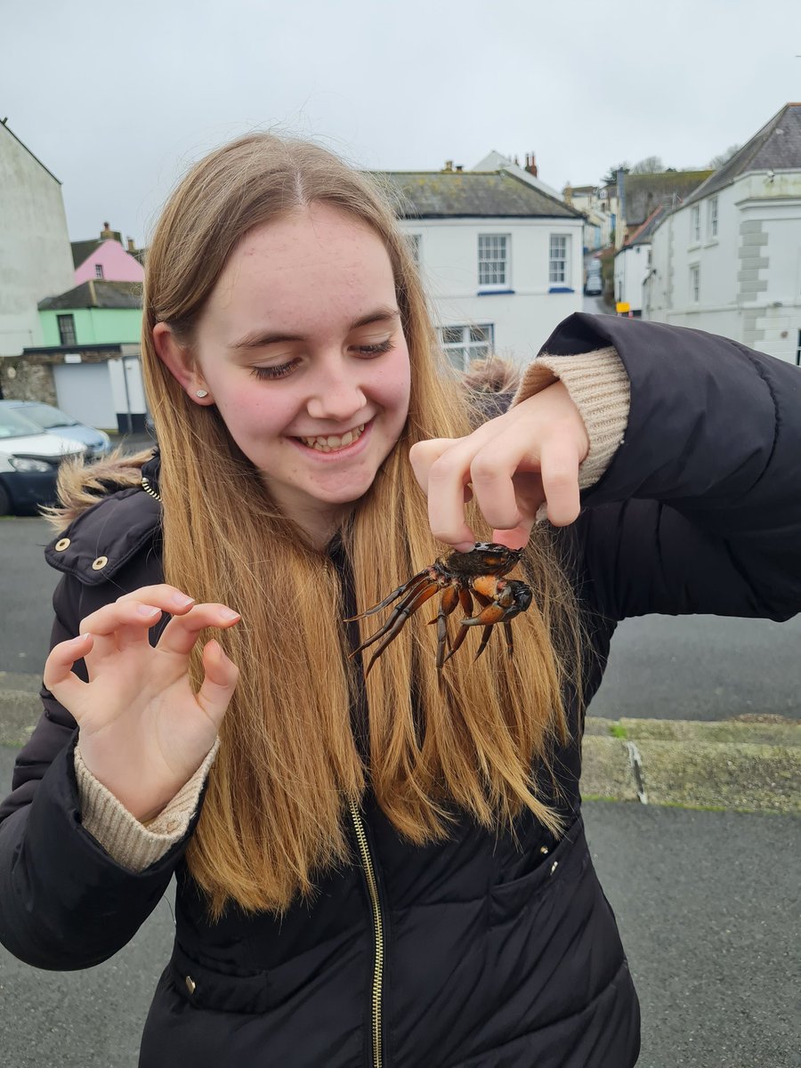 Lizzy Elsey tweet media