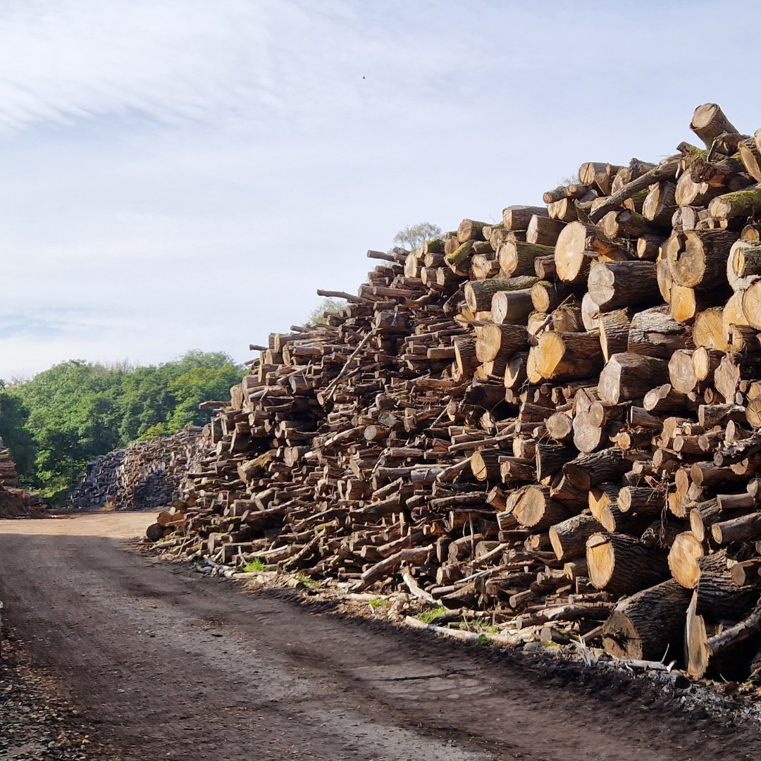 Woodland management is at the heart of LC Energy – all our timber is sourced from sustainably harvested, local woodlands under either a licence from the Forestry Commission or the FSC.

Learn more: lcenergy.co.uk/woodland-manag…

#Woodlands #Timber #ResponsibleSourcing