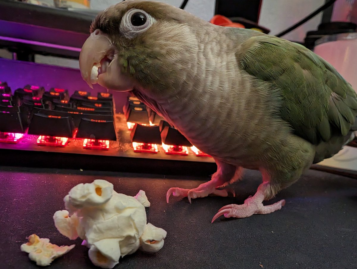 Popcorn popcorn popcorn!!!
