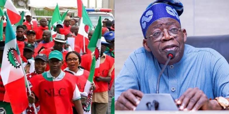SaharaReporters's tweet photo. BREAKING: Nigeria Labour Congress Declares Nationwide Mass Protest Over Hardship Under Tinubu | Sahara Reporters https://t.co/20YtD2t1Ti https://t.co/cPKVNNR8eK