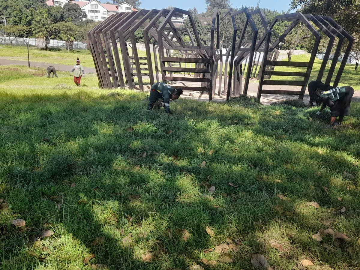 Ongoing works at Central and Uhuru parks, the  Countys' leading recreational parks. The Green Army continues to: 
Maintain Flower Nursery and Watering, Raking the trimmed grass and excess trees leaves; Weeding the grass lawns and removing weeds growing on the walk walkways and