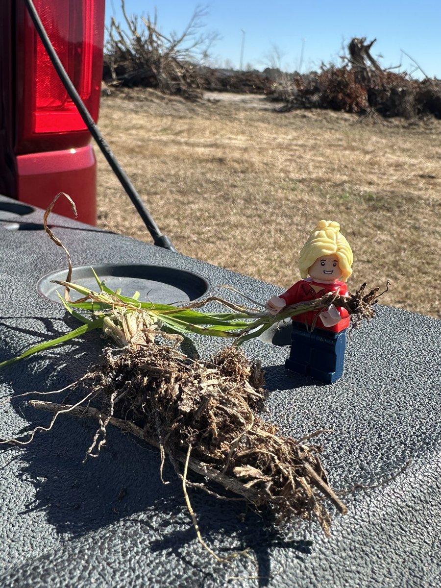 Lego Forage Specialist tweet media