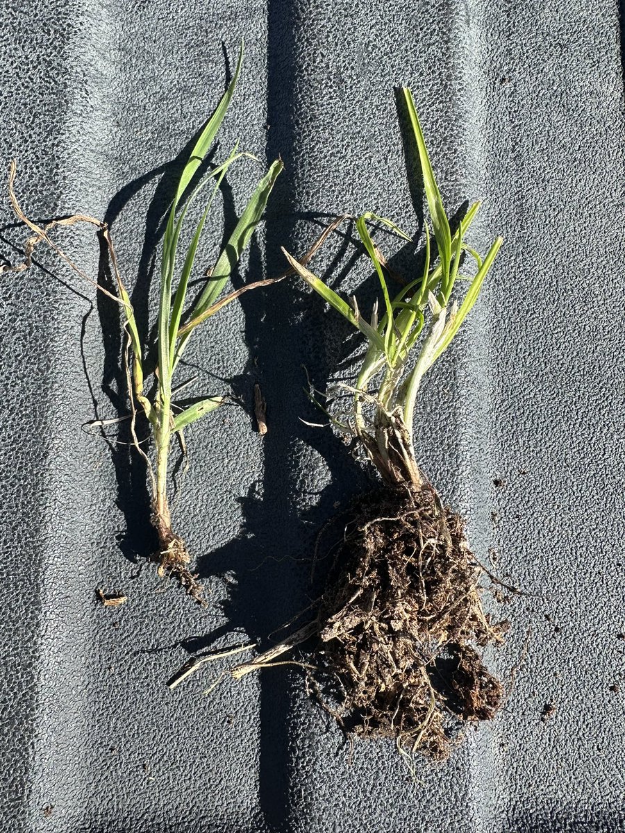 Lego Forage Specialist tweet media