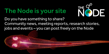 Do you know once you're registered, you're free to post on the Node? You can also subscribe to our weekly newsletter and 'Occasional writing ideas' emails, and join the Node Network, a global directory of #DevBio and #stemcell biologists. Register now⬇️ thenode.biologists.com/wp-login.php?a…