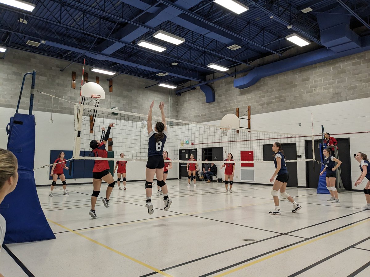 Jenny Rodgers tweet media