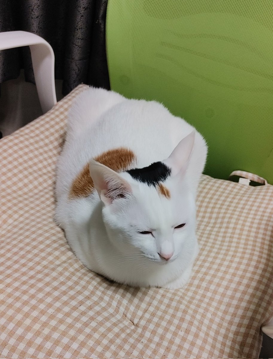 손상됨 (@sontkd_12) on Twitter photo 