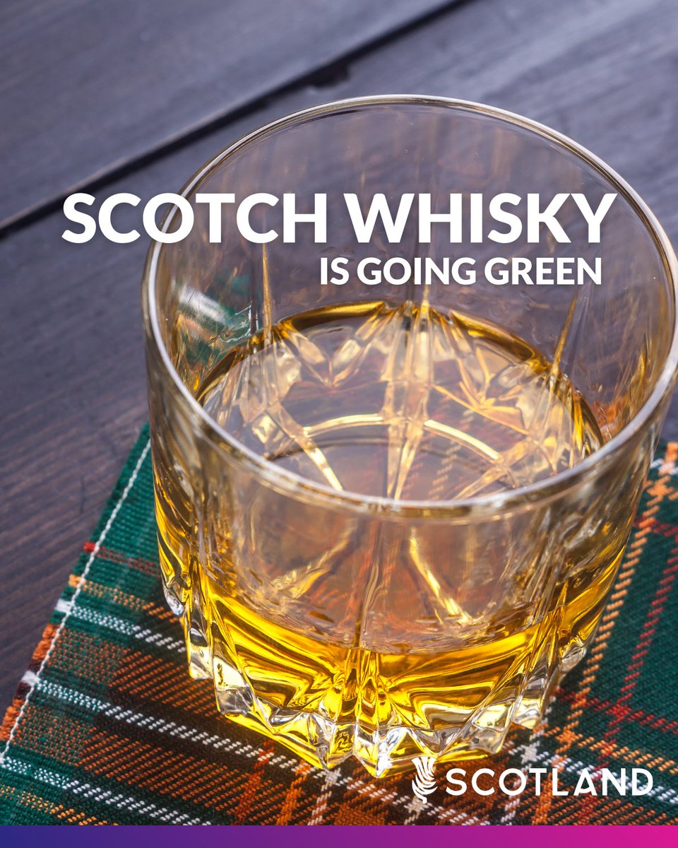 #DYK? Our Scotch whisky industry is aiming to decarbonise by 2040. 🥃 @ScotEnt are supporting projects that will allow hydrogen to replace fossil fuels used in the production process. Learn more! ➡️ sdi.co.uk/news/green-whi…