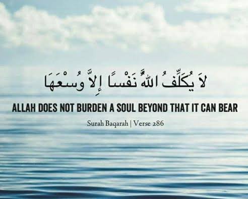 lazysamx's tweet photo. Indeed❤️
So trust yourself because ALLAH trust You ❤️ https://t.co/r4iZ1T9wGn