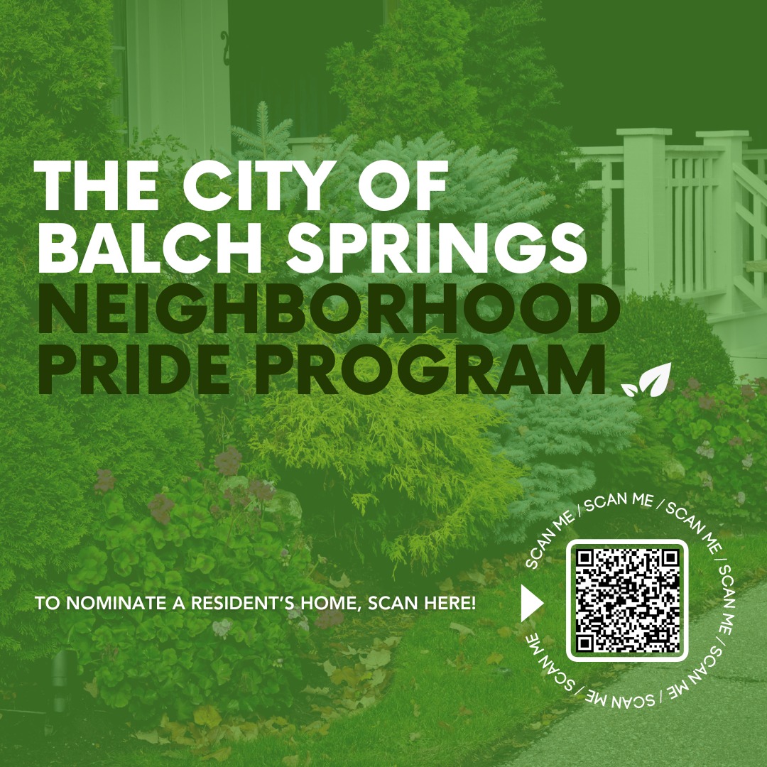 Balch Springs, TX tweet media