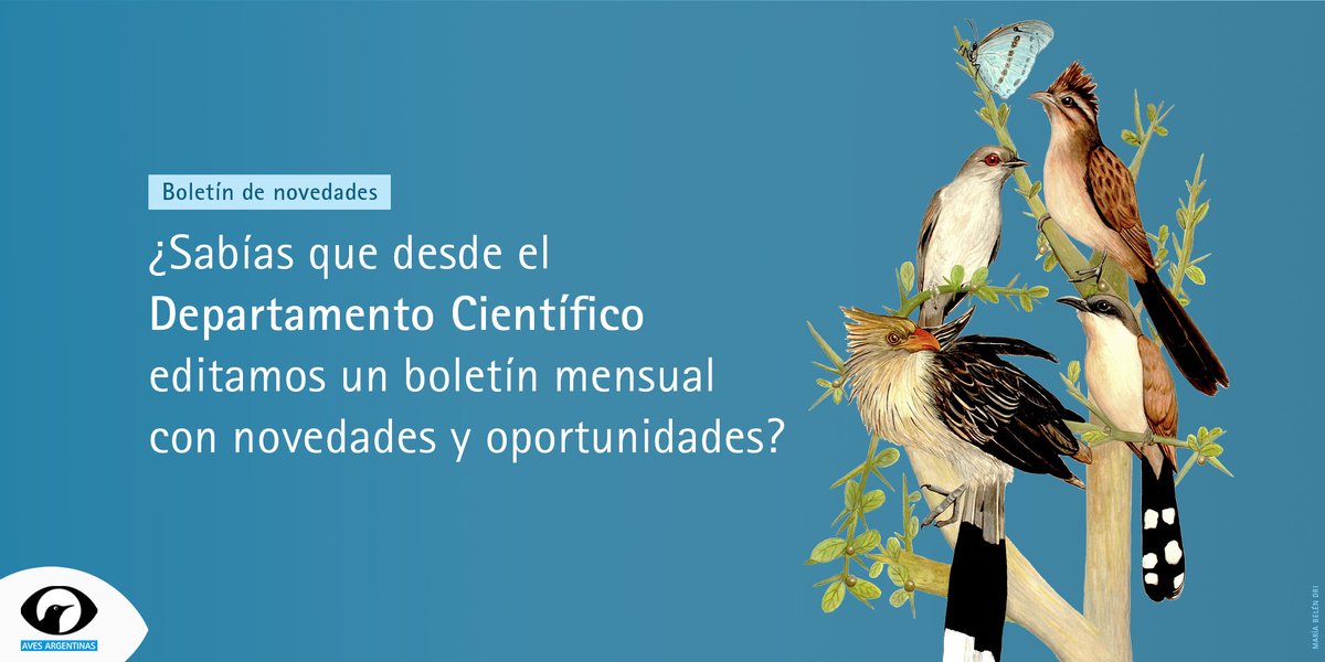 CienciaAves's tweet photo. ¿Conocés nuestro boletín científico? 🦉🔍📖
Es un espacio donde compartimos novedades y oportunidades de interés para la comunidad ornitológica. Se difunde vía email y está abierto a cualquier persona interesada en suscribirse.

@AvesArgentinas https://t.co/zlXAUPzX4f