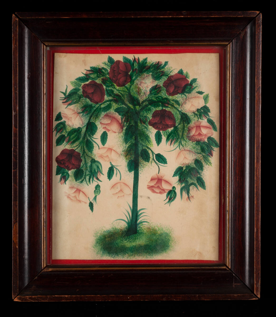 🌹 🌹 

🖼️ Unidentified Artist (American), ROSES ON TREE, no date. Watercolor on paper.