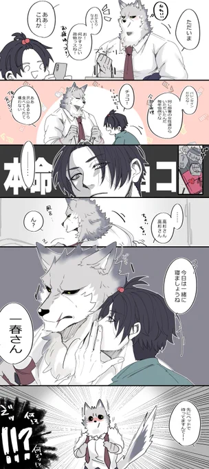 においつけ 