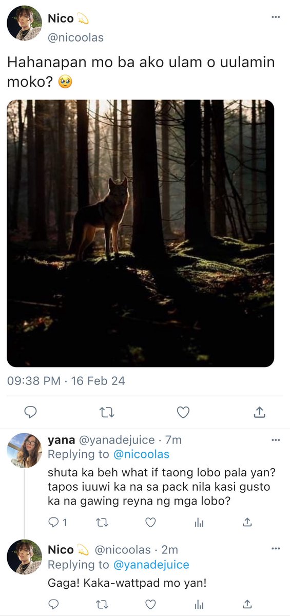 kentinify's tweet photo. → TALES OF THE MOON

Nico, a frustrated writer, decides to stay at his late grandmother’s cabin in the woods to unwind. What’s supposed to be a relaxing getaway turns into a whirlwind of chaos when a lone wolf decides to follow him home one night. 

KENTIN AU https://t.co/Xrrhe54D4Q
