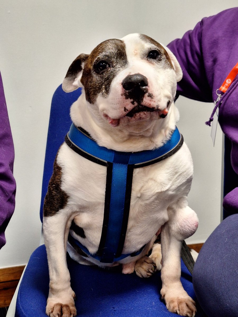 The goodest of good players 😍 #Ravenswoodstock