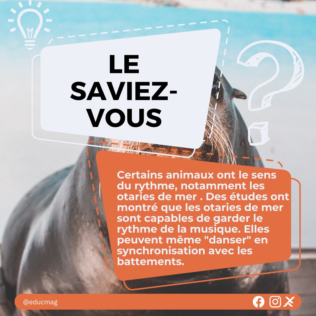 educ_mag's tweet photo. Le saviez-vous, certains animaux ont le sens du rythme, notamment les otaries de mer . Des études ont montré que les otaries de mer sont capables de garder le rythme de la musique. Elles peuvent même "danser" en synchronisation avec les battements.
#connaissanceplus #lesaviezvous https://t.co/Bo01KMzRS8