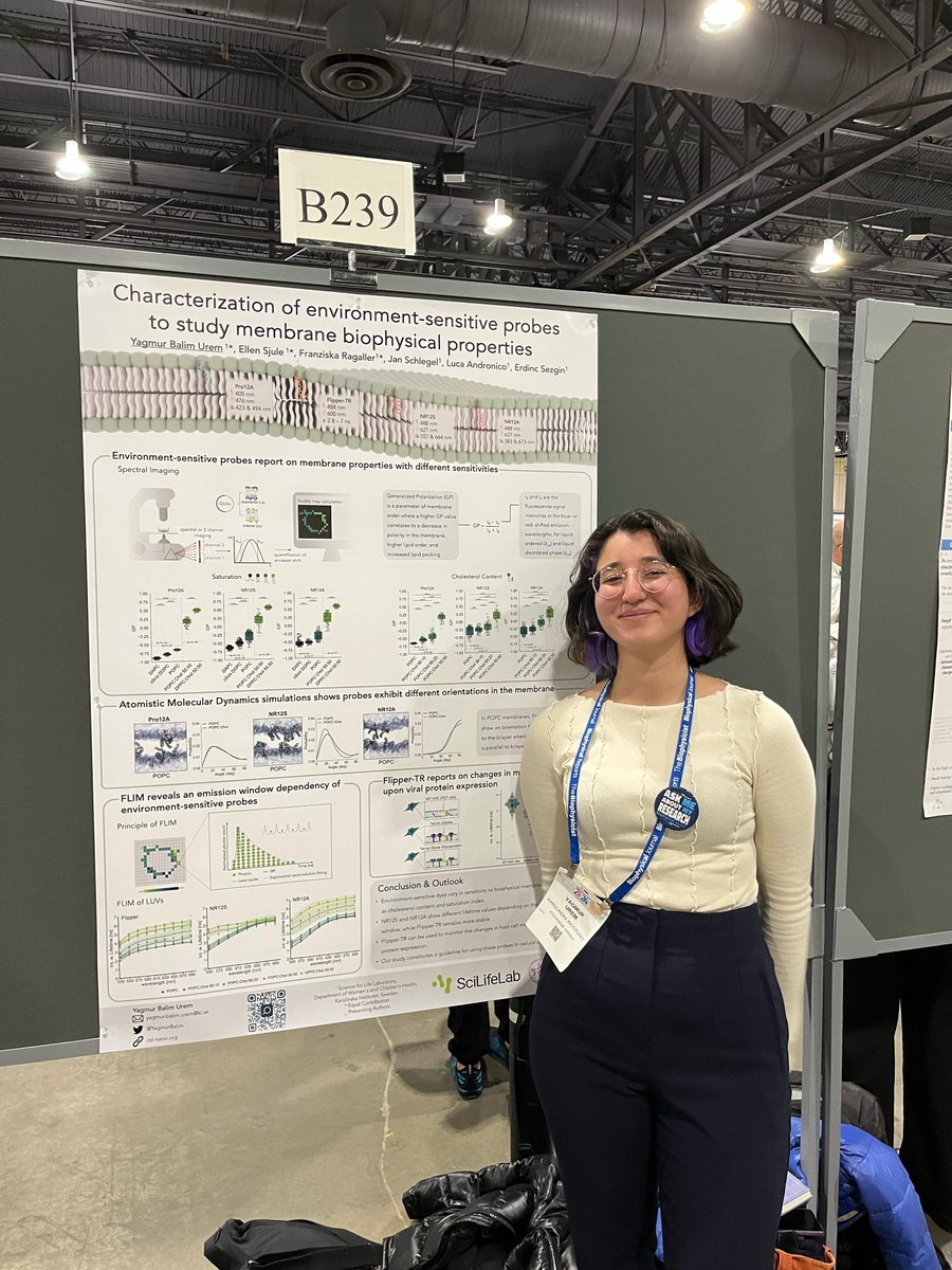 Erdinc Sezgin tweet media