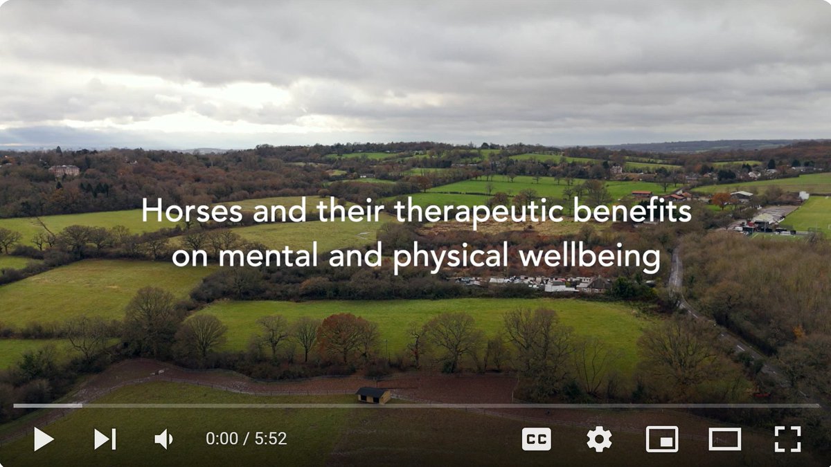 It's premier time! We're delighted to release our 'Horses and their therapeutic benefits on mental and physical wellbeing' which showcases some of the amazing projects supported by the Together Fund we facilitate with @Sport_England Watch: youtu.be/Q34iG7oVaPQ