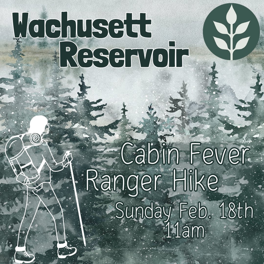 MassDCR's tweet photo. Come break that cabin fever with us! 🤒 We know you have it &amp; so do we! 🌲 Join Wachusett Reservoir rangers on Sun. Feb. 18 at 11 a.m. for a ❄️ winter wonderland hike with views that don’t disappoint! All ages welcome but no 🐶 or other pets are allowed. https://t.co/HIYTLVQtx4 https://t.co/1AceRtmZLs
