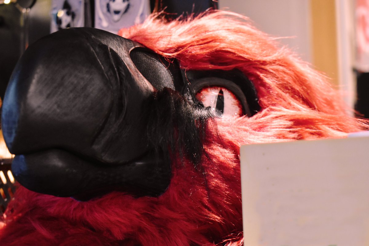 NovalyonStudios's tweet photo. First #FursuitFriday I can finally partake in! 

My boy Vik was so much fun to make for Scotia https://t.co/89NIeL03dM