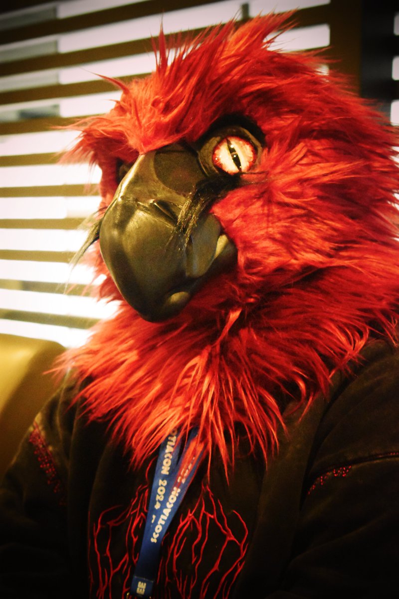 NovalyonStudios's tweet photo. First #FursuitFriday I can finally partake in! 

My boy Vik was so much fun to make for Scotia https://t.co/89NIeL03dM