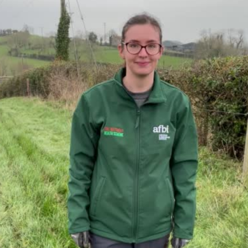 AfbiSoils's tweet photo. 🟢Read about Natasha's role with the Soil Nutrient Health Scheme as part of the @AFBI_NI recent series of Women &amp; Girls into Science celebration #SNHS_NI #AFBI_Science #carbon #soilsampling #SoilHealth  
🔗https://t.co/7mIS2vT5Tj https://t.co/vEE9dby0qz