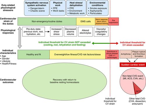 Firefighting and the Heart. Firefighting causes tremendous physiological strain on the body. Take a few mins to check this article out by Dr. Kales and Dr. Smith. hubs.li/Q02lkG5h0