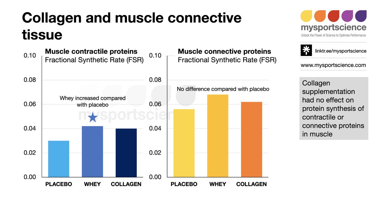 Does collagen strengthen connective tissue in muscle? Protein ingestion can increase the synthesis of contractile proteins, but does the same hold true for connective proteins? bit.ly/4bk8VW4