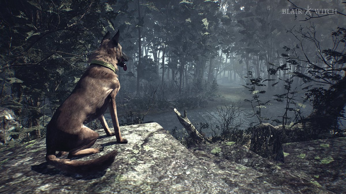 You are not alone! Your K9 is not just a faithful companion who loves dog games and treats. He is a trained police dog, and his tracking abilities are essential for the situations you will encounter. #BlairWitch game is now on #SteamSale with 80% off 🐶 - bit.ly/BW_Steam