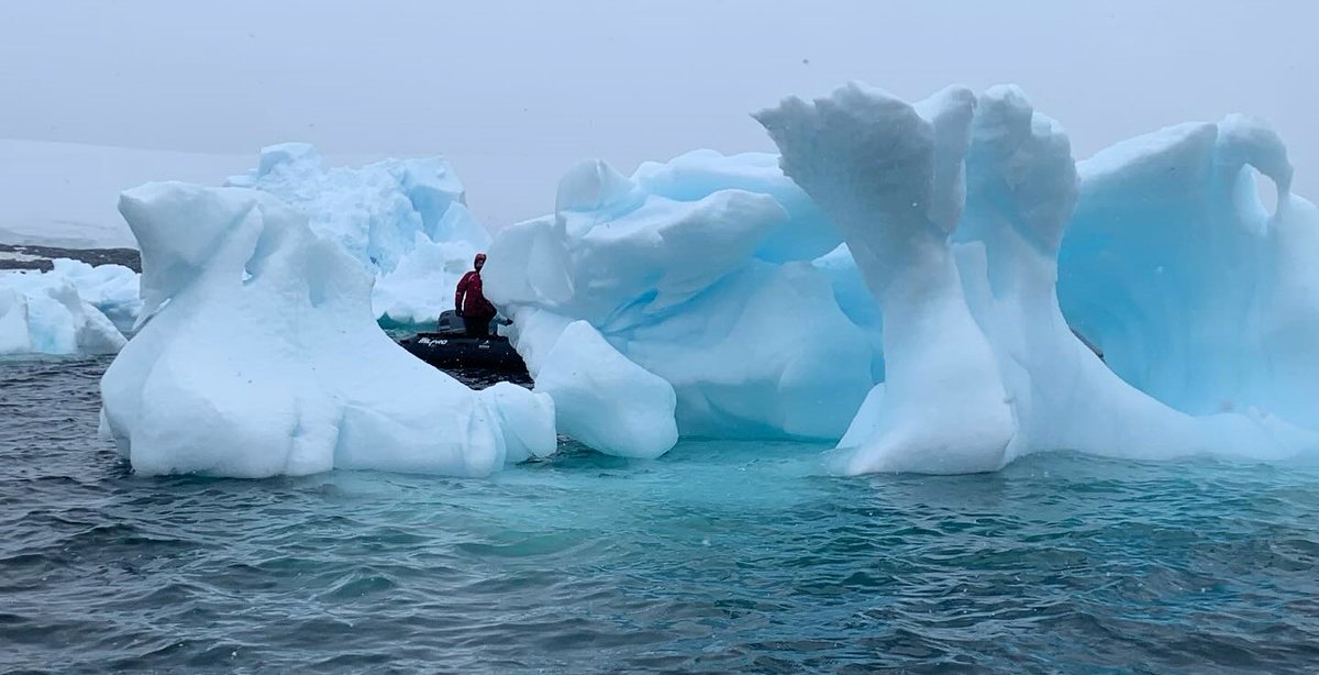 Select_TH's tweet photo. 🐧Inspired by #CruisingWithSusan in #Antarctica? Our very own Amy is there RIGHT NOW! See her photos here https://t.co/I2P9yoO99a 
#CruisingWithSusanCalman @SusanCalman https://t.co/rRRkdh9scZ