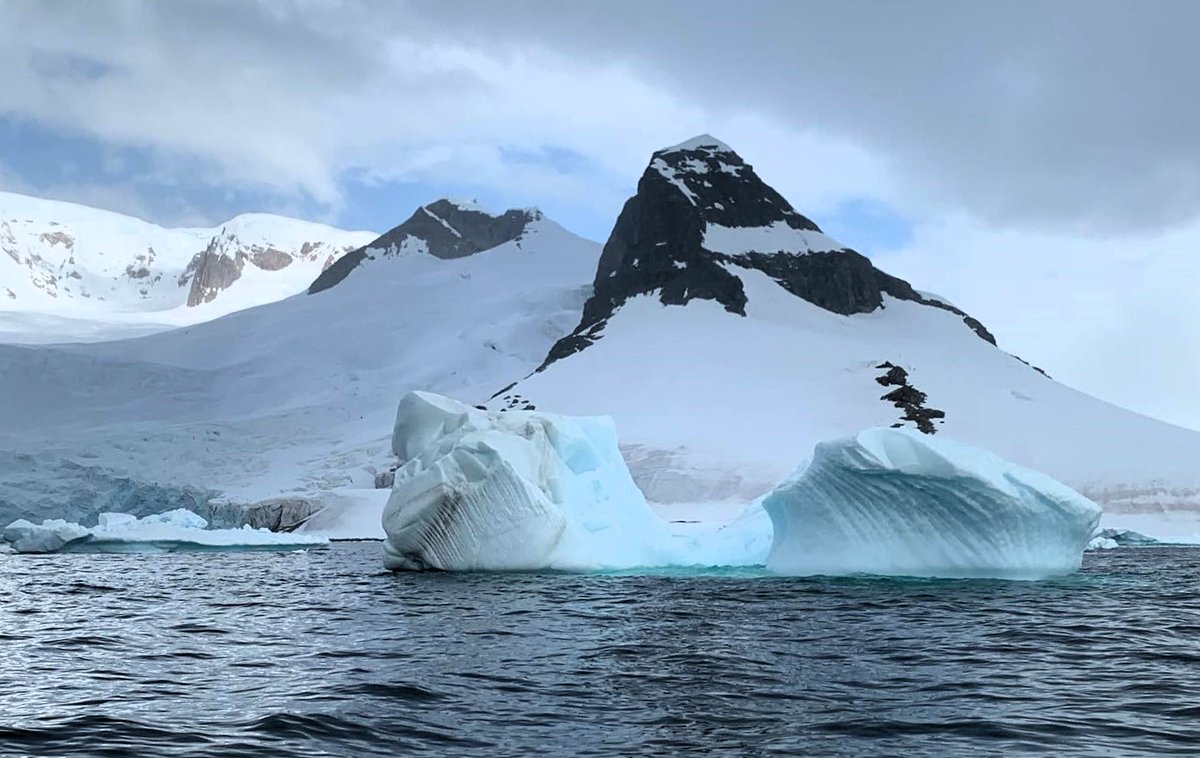 Select_TH's tweet photo. 🐧Inspired by #CruisingWithSusan in #Antarctica? Our very own Amy is there RIGHT NOW! See her photos here https://t.co/I2P9yoO99a 
#CruisingWithSusanCalman @SusanCalman https://t.co/rRRkdh9scZ