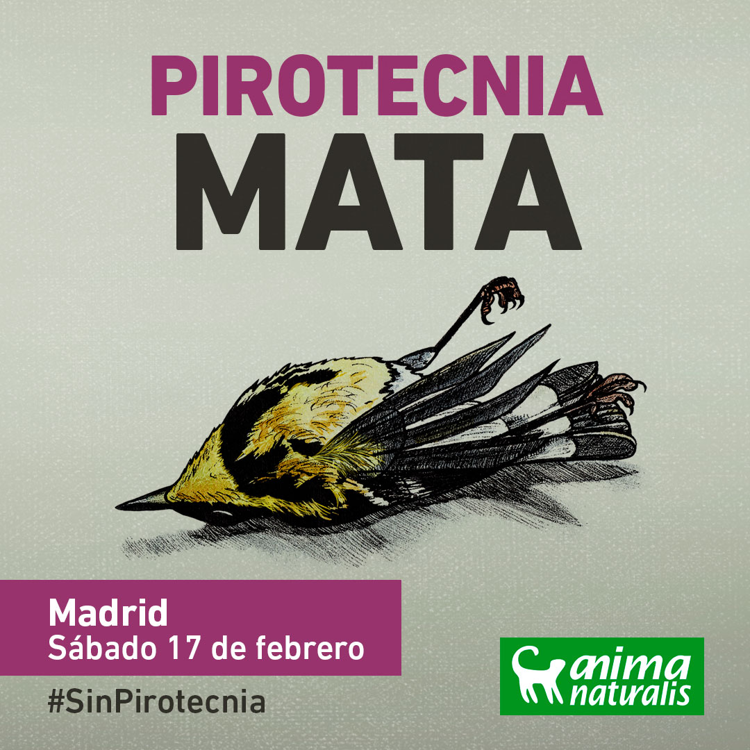 🔴 ¡ATENCIÓN! La jueza permitirá realizar la 'mascletá' en Madrid Río.

¡Es una vergüenza que se de vía libre a causar tanto daño por un capricho!

✊️📢 ÚNETE a la protesta de mañana en Cibeles, a las 12h, para exigir #NoALaMascletá

Toda la info: animanaturalis.org/eventos/46622