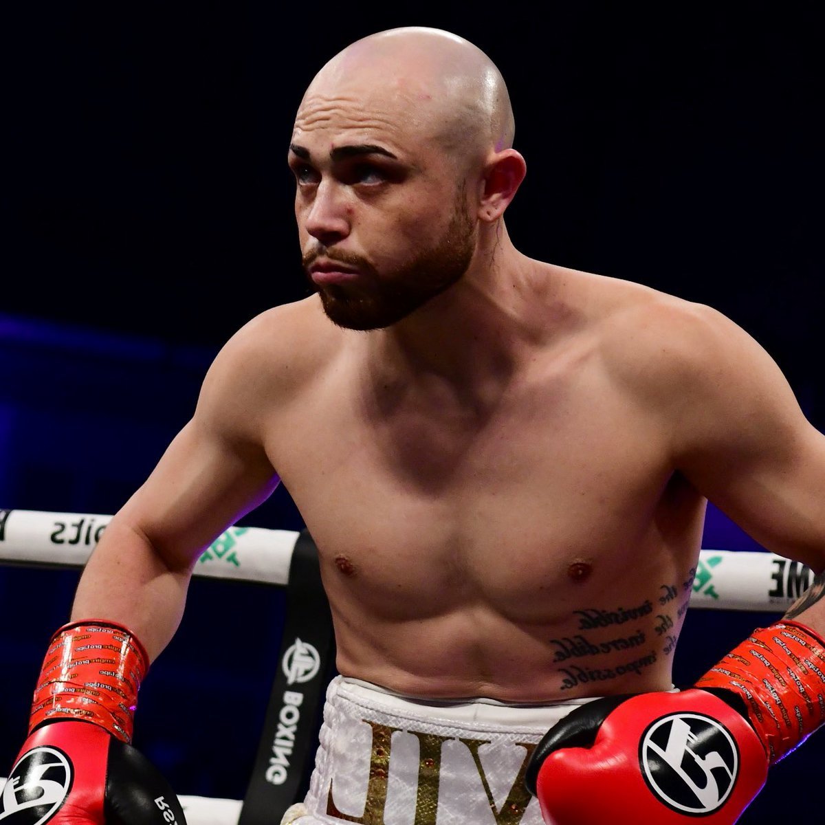 IfnBoxing's tweet image. ‼️ 𝗜𝗡𝗙𝗟𝗨𝗘𝗡𝗖𝗘𝗥 𝗕𝗢𝗫𝗜𝗡𝗚 𝗙𝗨𝗡 𝗙𝗔𝗖𝗧 ‼️

His fight on Misfits 13, will be Evil Hero&apos;s first fight since his defeat to Adam Saleh on the #PaulFury undercard last year 👀😳