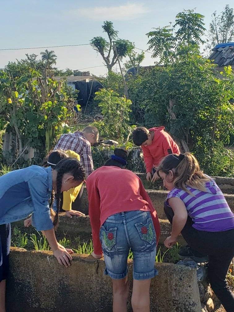 Los pioneros contribuyen con la soberanía alimentaria .
#CubaMined #26deJulio #PorUnaEducaciónConCalidad