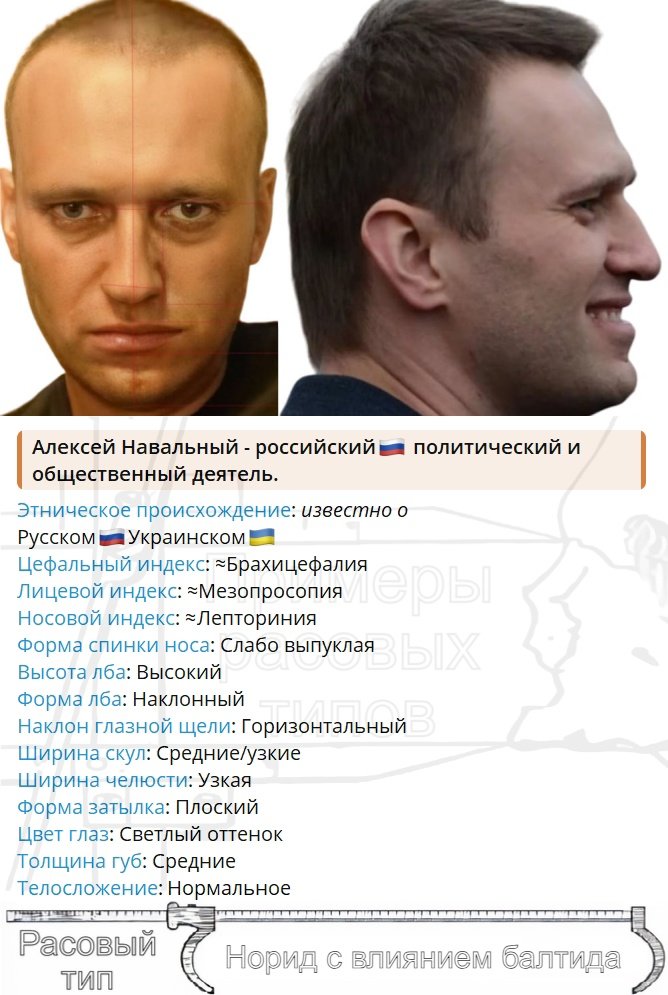 Антропометрические параметры и расовый тип Алексея Навального

#АлексейНавальный #Навальный
