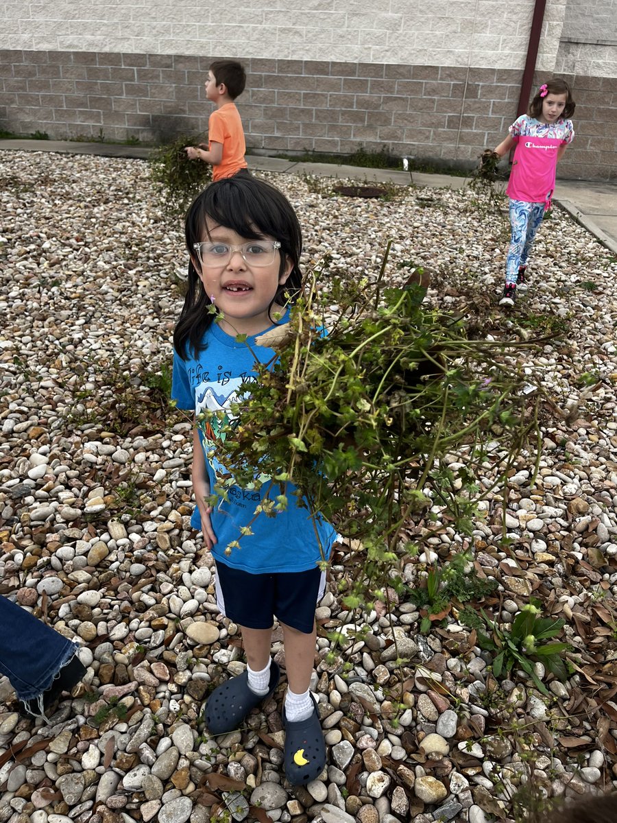 Spicewood Elementary tweet media