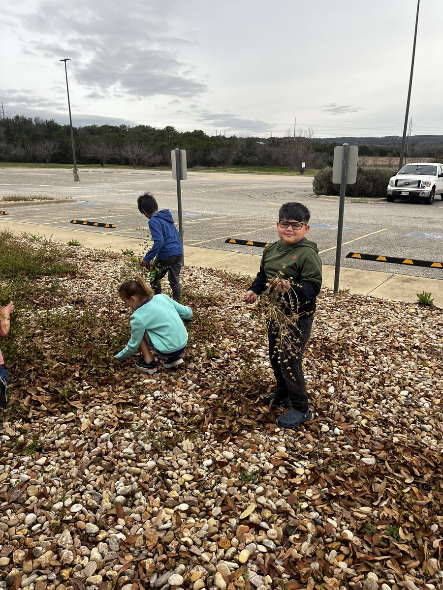 Spicewood Elementary tweet media