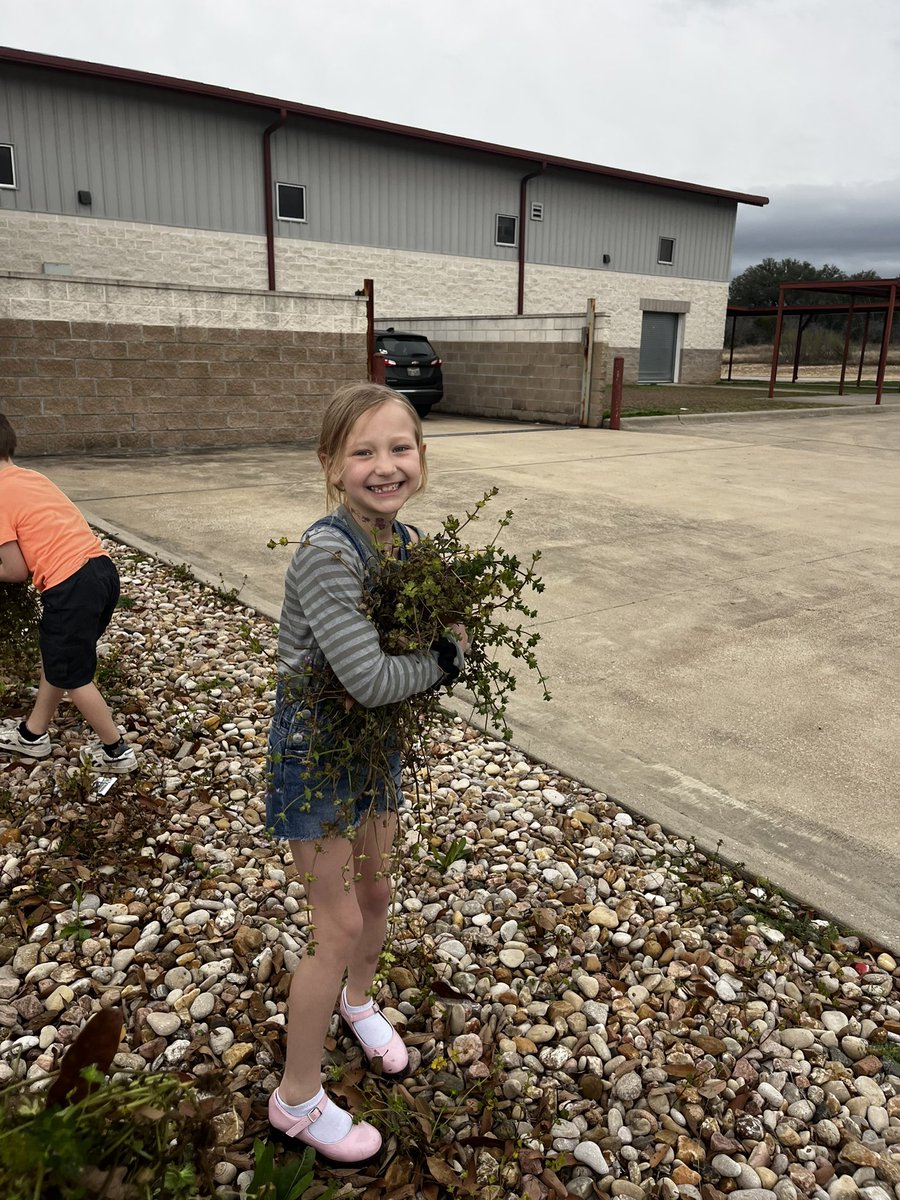 Spicewood Elementary tweet media