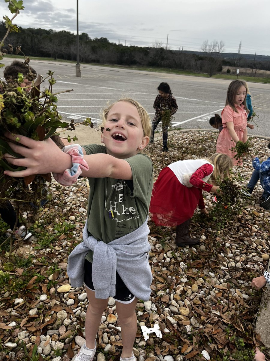 Spicewood Elementary tweet media