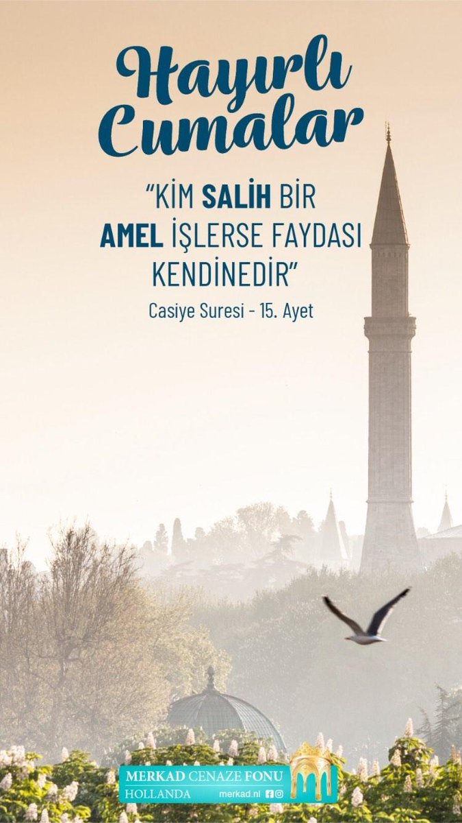 MerkadNL's tweet photo. https://t.co/t51PiL8cM6