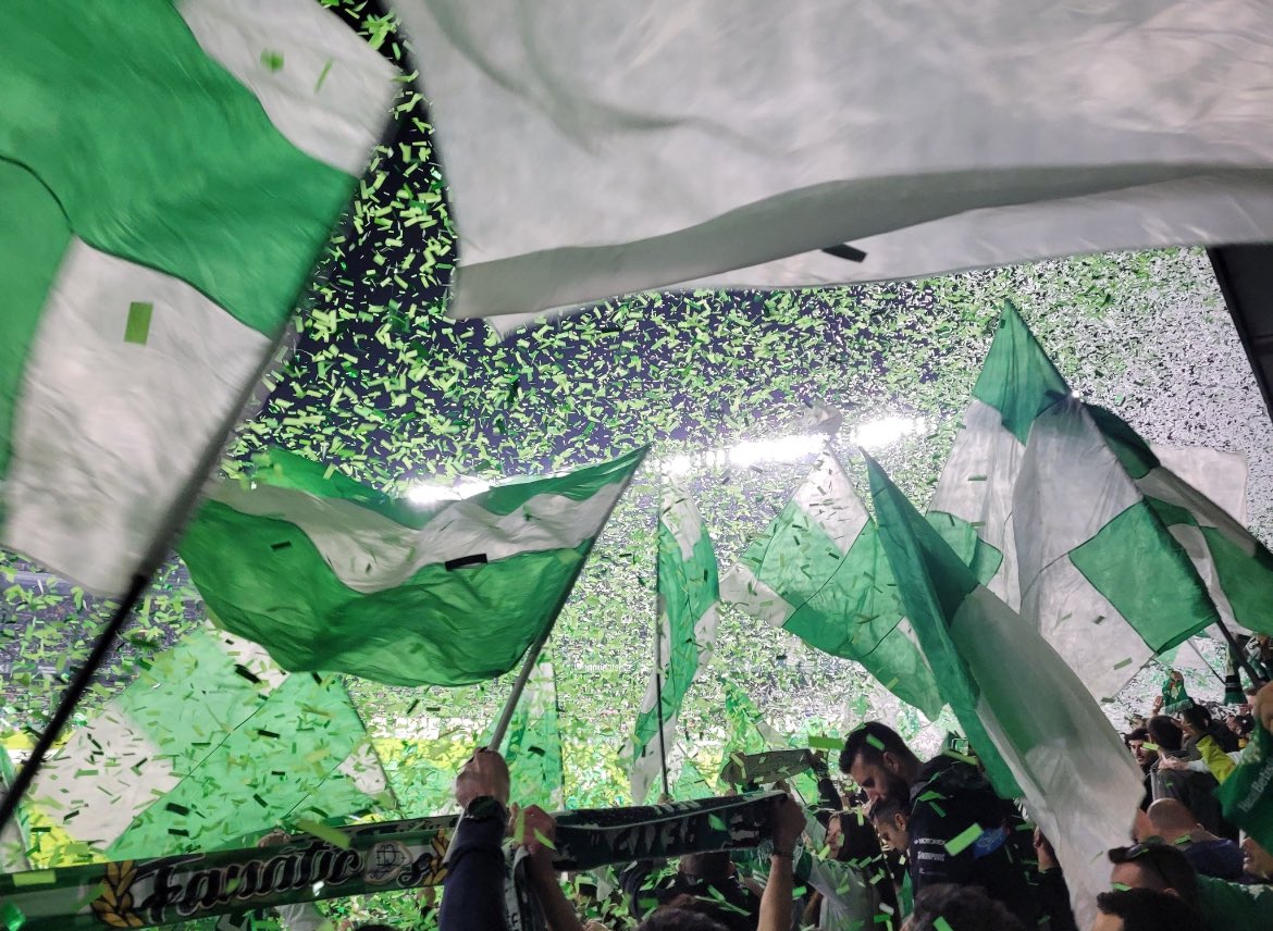 - Tenemos una media de más de 50.000 aficionados por partido.

 - Somos el club que más gente desplaza a otros estadios en españa.

Al Betis se le puede dar lecciones de muchas cosas, pero en cuanto a afición, no nos hacen ni sombra.