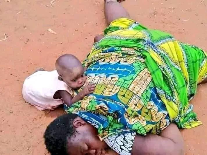 EMubiem's tweet photo. @RishiSunak You are a fervent defender of democracy but on the other side you support the African Hitler @PaulKagame, who are you lying to?
How many political prisoners are in Rwanda? Kagame commits crimes in Congo under your silence
#FreeCongo
#StopGenocide
#MapingReport
#RwandaIsKilling https://t.co/ddyRTGkdBf