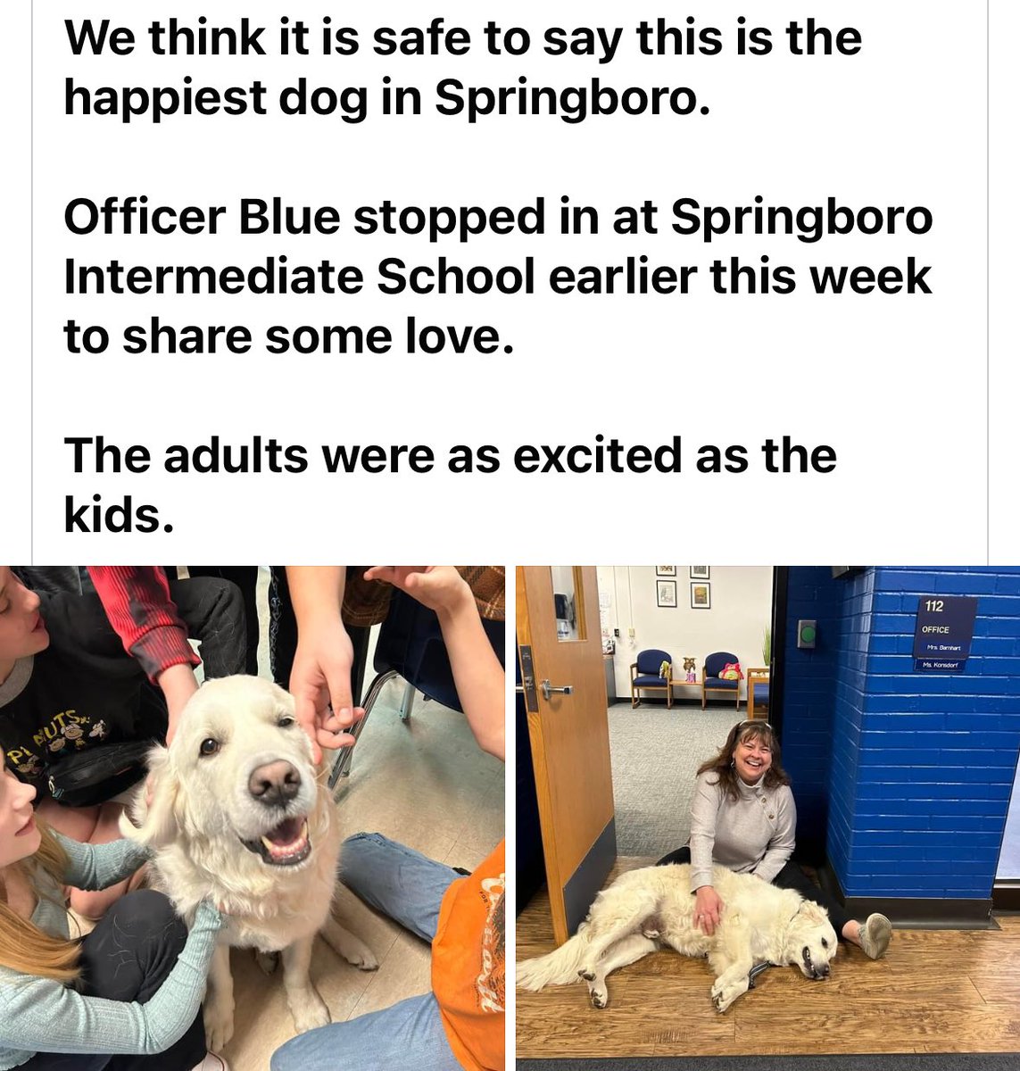 Blue is the best!!!💙🐾💙🐾